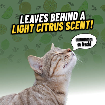 Ghosted Pet Odor Eliminator