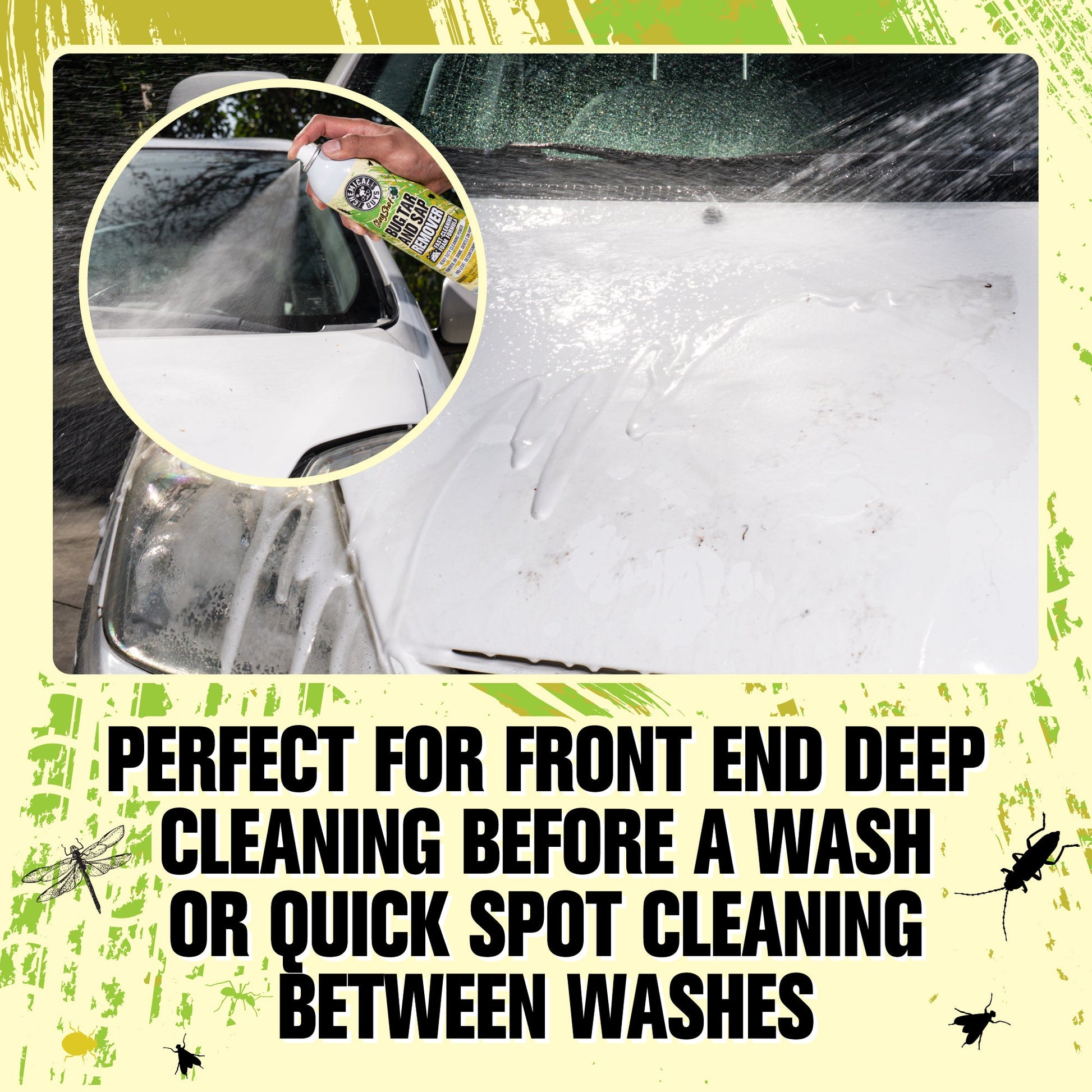 Bug, Tar, Sap Removal Kit